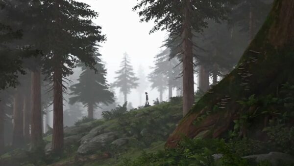 Como Treinar o Seu Dragão na Netflix: Clássico de 2010