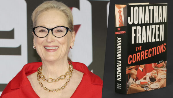 The Corrections na Netflix: Elenco, trama e estreia