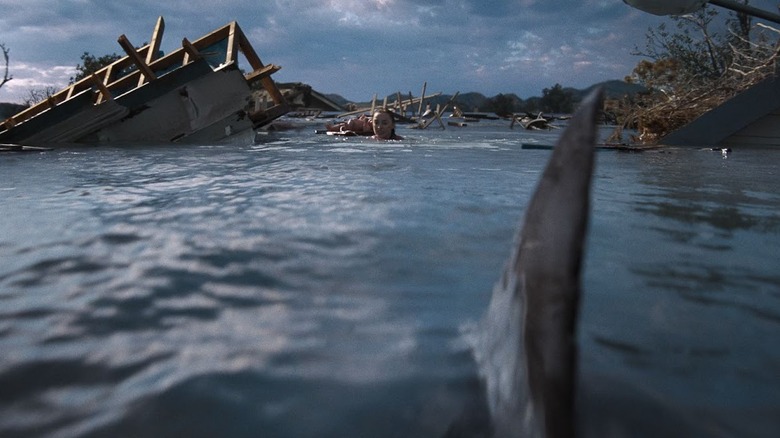 Uma barbatana de tubarão surge da água em Thrash