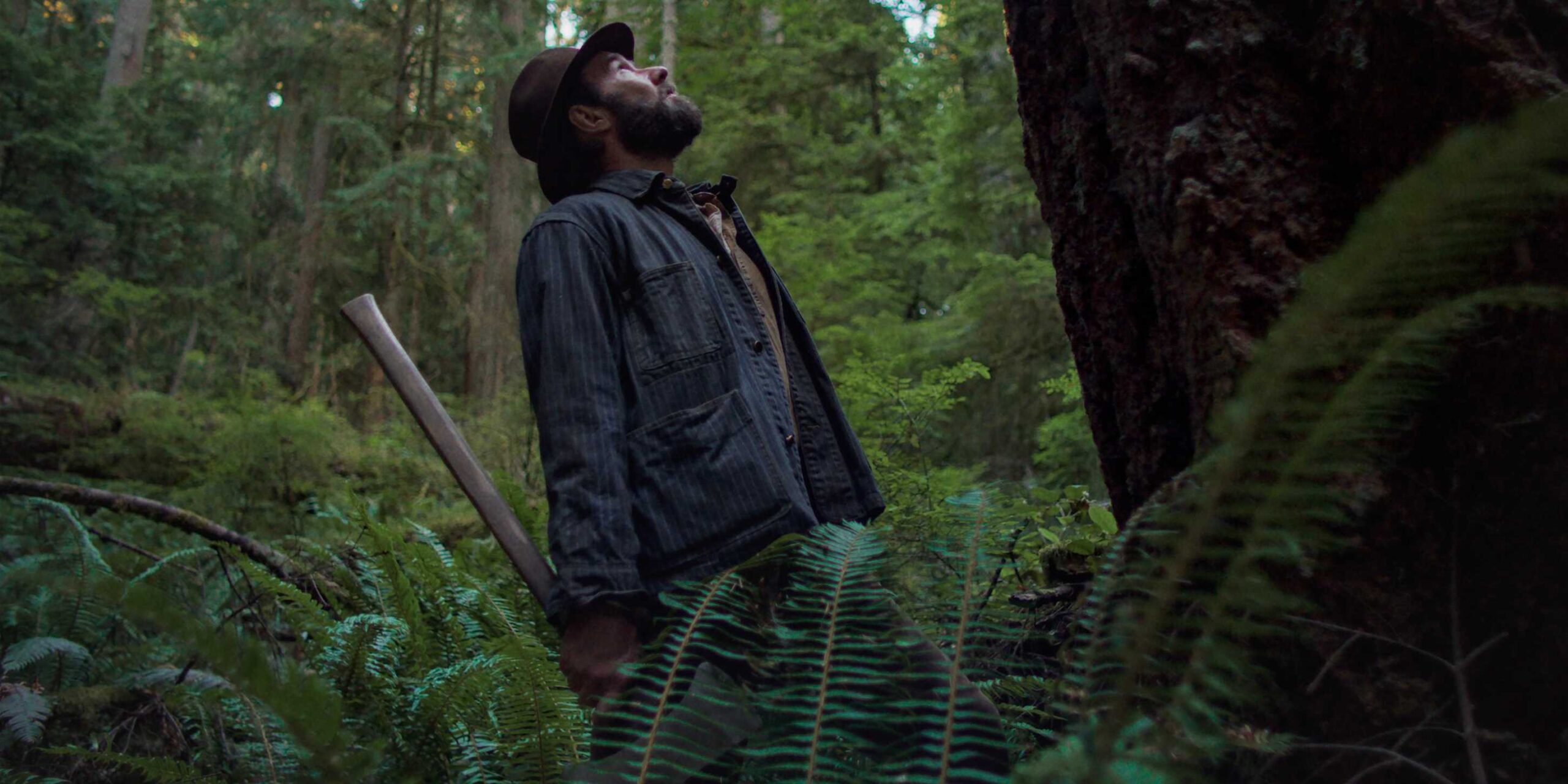 Robert Granier (Joel Edgerton) looking up at a tree in Train Dreams