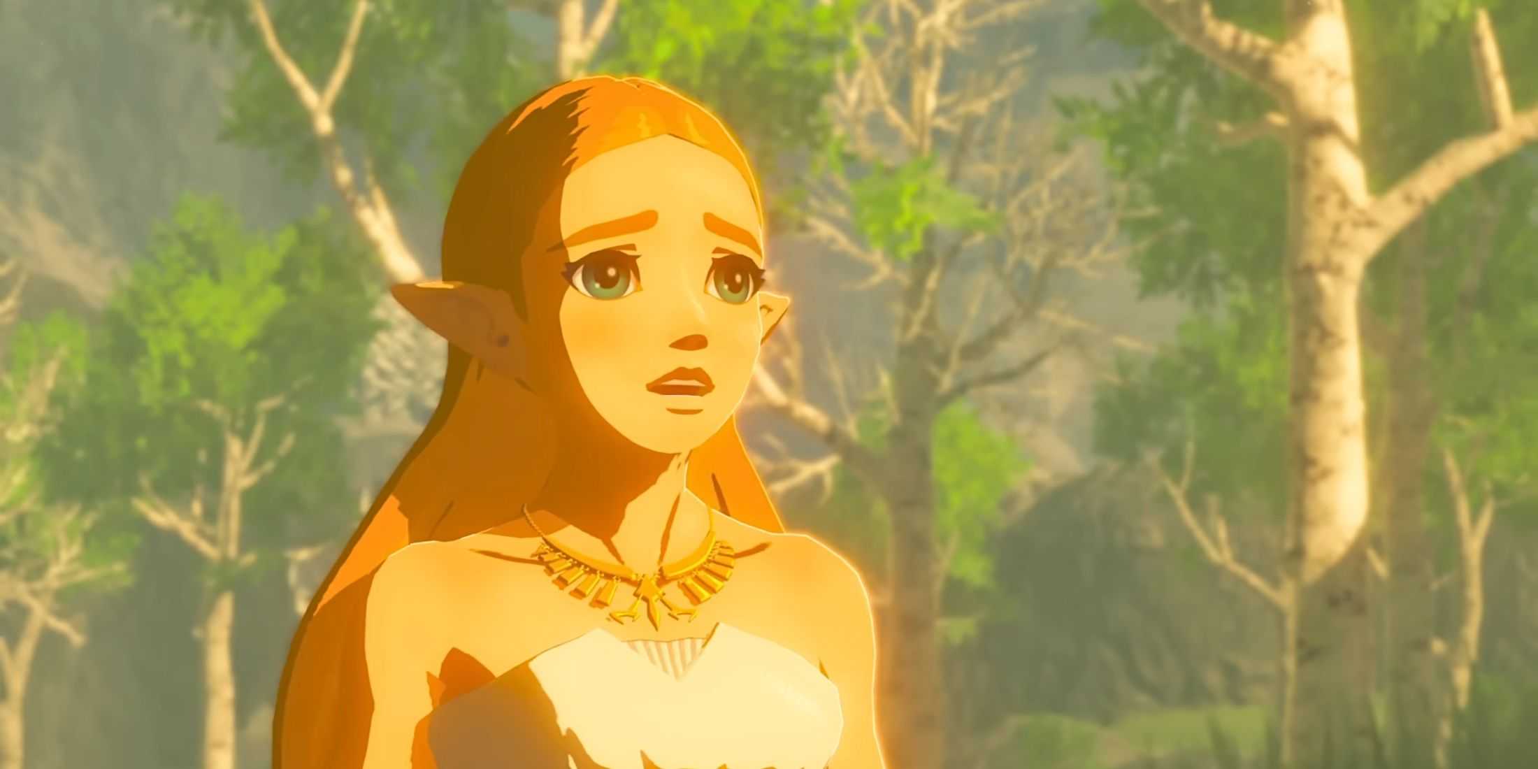 Novo Zelda: Monolith Soft dá primeiro sinal oficial Zelda looking concerned in a forest in Breath of the Wild