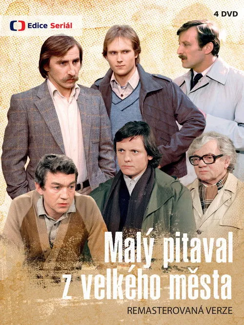 Poster de Malý pitaval z velkého města