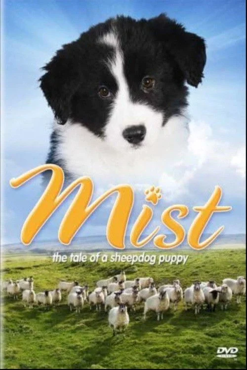 Poster de Mist: The Story of a Sheepdog Puppy
