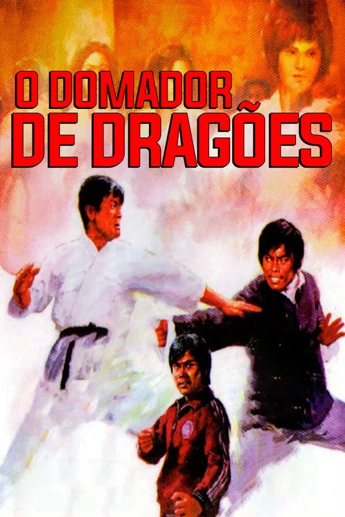 Poster de O Domador de Dragões