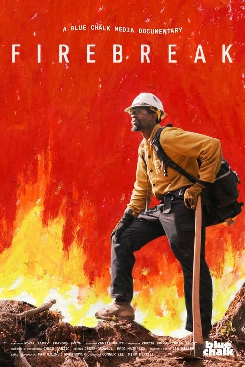 Poster de Firebreak