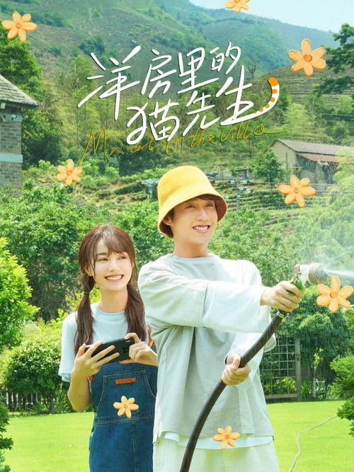 Poster de 洋房里的猫先生